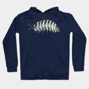 Armadillidium maculatum- Zebra Isopod Hoodie